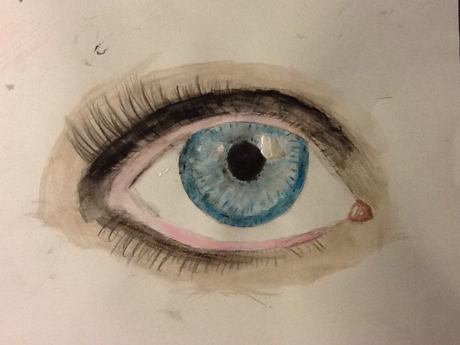 900x675 Realistic Eye ( Painted With Water Colors) By Applefreak5602 - Realistic Eye Painting