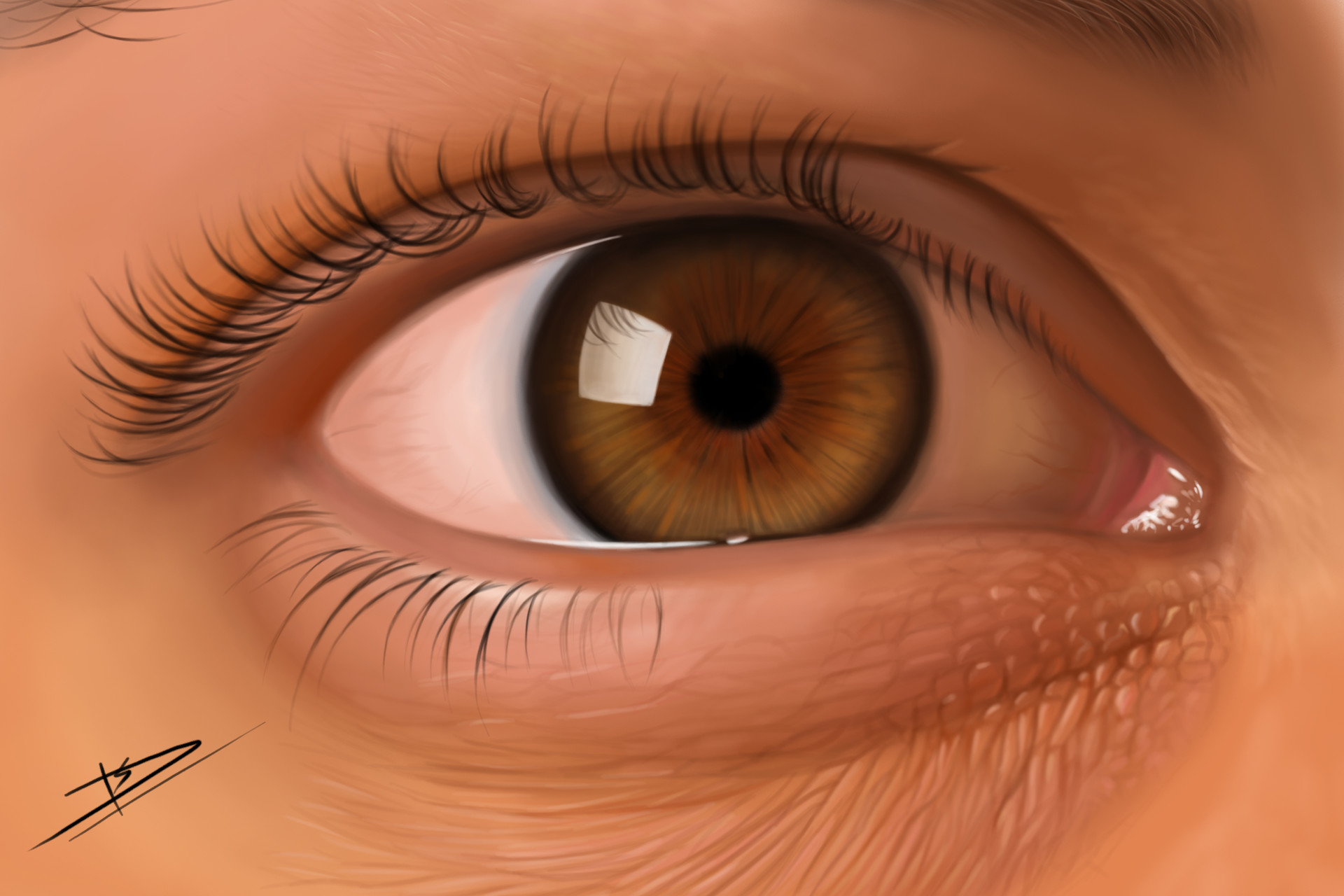 1920x1280 Surajit Dhar - Realistic Eye Painting
