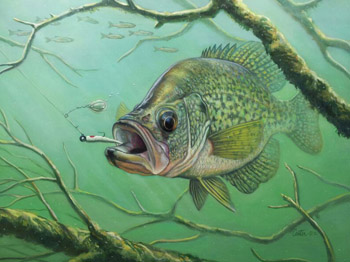 350x262 Lu Alum Carter Finds Art And Inspiration Outdoors - Realistic Fish Painting