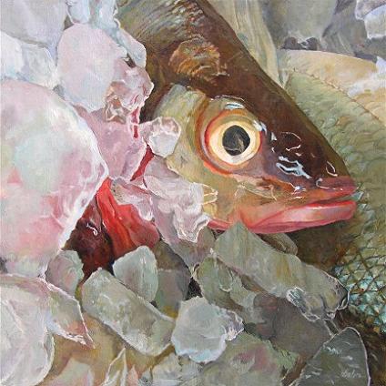 424x424 Oil And Watercolor Paintings By Artist Elaine Hahn - Realistic Fish Painting