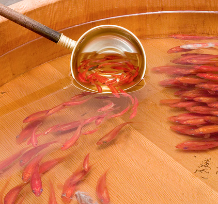 450x420 Amazing 3d Fish Paintings - Realistic Fish Painting