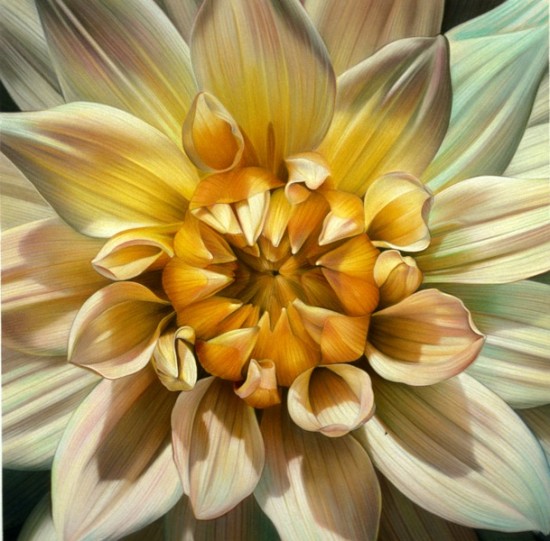 550x541 Photo Realistic Oil Paintings Of Fruit And Flowers By Dennis - Realistic Flower Painting