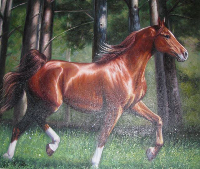640x541 Horse Painting,horse Oil Painting,sinoorigin - Realistic Horse Painting