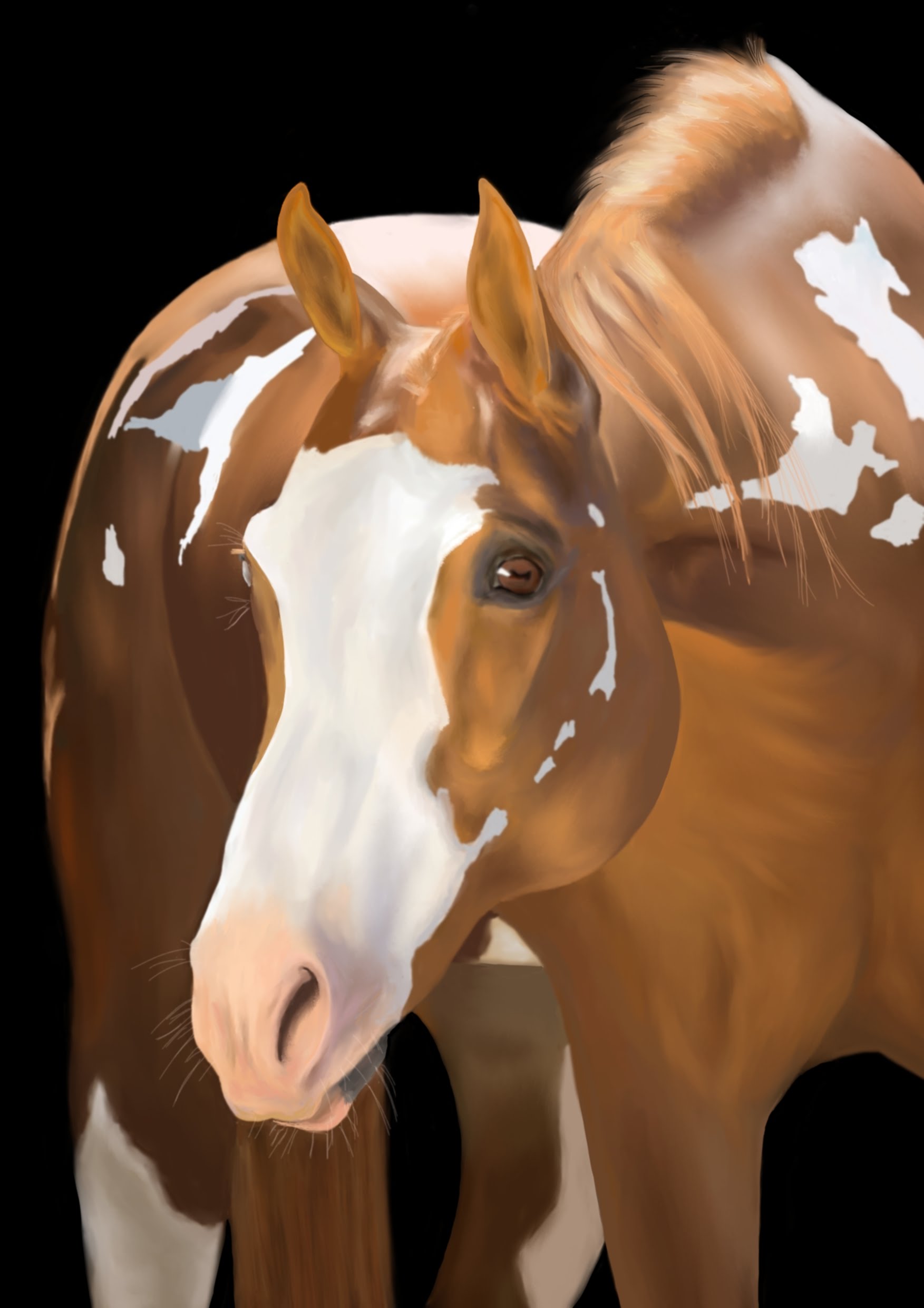 1753x2480 How To Draw A Realistic Horse Portrait - Realistic Horse Painting