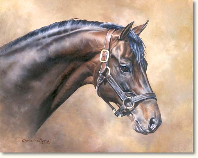 682x543 The 1265 Best S Horses Images On Horses, Horse - Realistic Horse Painting