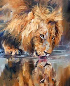236x289 Lion Original Fine Art By Teresa Yoo Lion And Lamb - Realistic Lion Painting