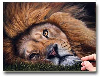 320x247 Pastel Pencils, Oil Paints, Questions And Answers - Realistic Lion Painting