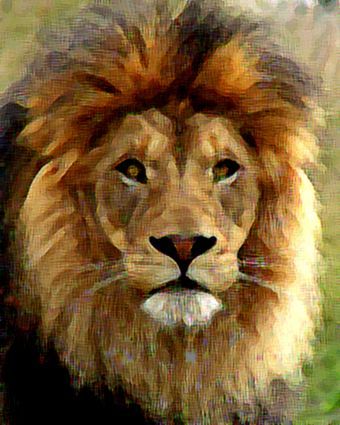 340x425 The Best Photo Painting Effects - Realistic Lion Painting