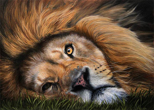 500x358 Lion Painting Tutorial - Realistic Lion Painting