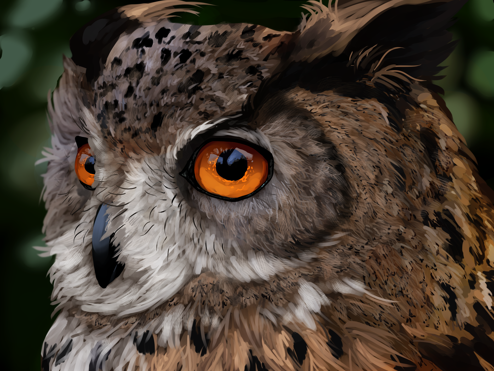 1890x1417 Realistic Owl Painting Pinned By I Heart Owl - Realistic Owl Painting