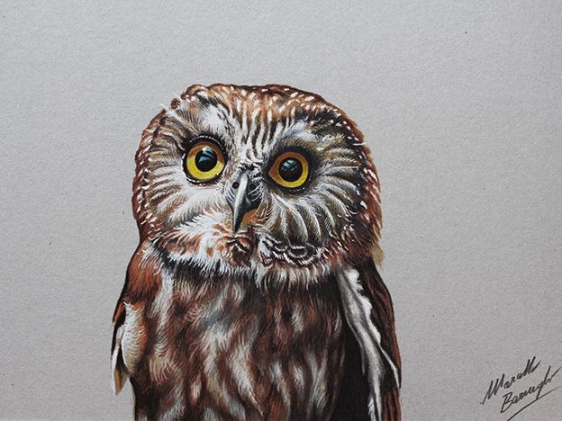 624x468 Amazing Time Lapse Films Showing Realistic Speed Drawings Of Birds - Realistic Owl Painting