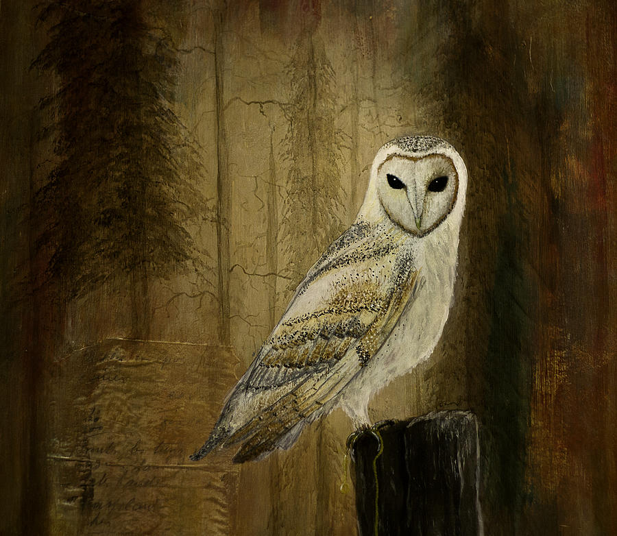 900x782 Barn Owl Painting By Gray Artus - Realistic Owl Painting