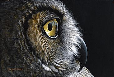 366x249 Great Horned Owl - Realistic Owl Painting