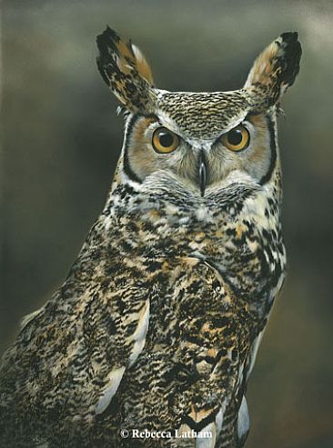 366x493 Great Horned Owl - Realistic Owl Painting