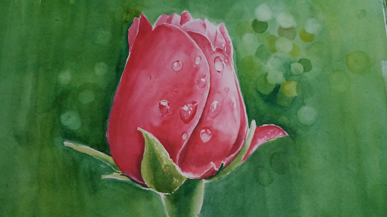 1280x720 How To Draw Rose Water Drops Watercolour Painting Details - Realistic Rose Painting