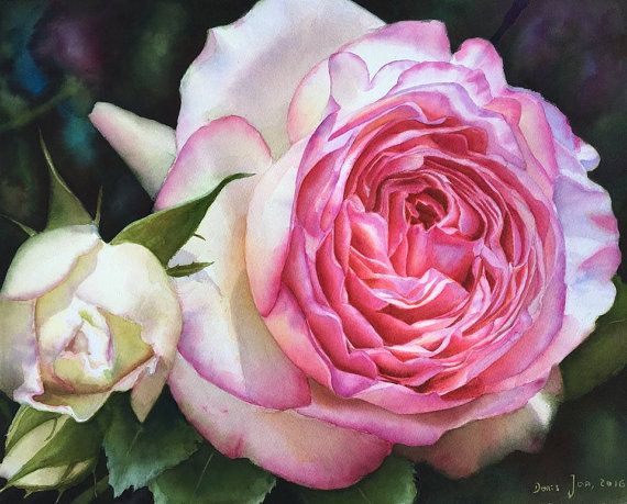 570x459 Original Realistic Rose Painting In Watercolor By Doris Joa Size - Realistic Rose Painting