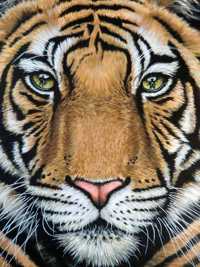 660x880 25 Beautiful And Realistic Animal Drawings Around The World - Realistic Tiger Painting