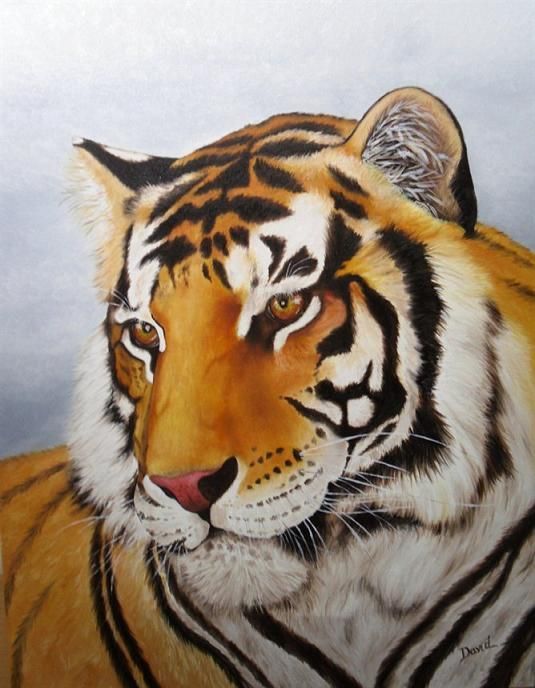 535x688 Realistic Tiger And Leopard Paintings - Realistic Tiger Painting