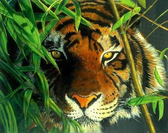 556x441 Realistic Tiger And Leopard Paintings - Realistic Tiger Painting