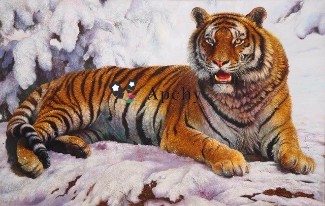 640x407 Realistic High Quality Home Pure Handmade Oil Painting Abstract - Realistic Tiger Painting