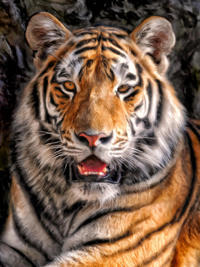 675x900 Tiger Painting By Dominic Piperata - Realistic Tiger Painting