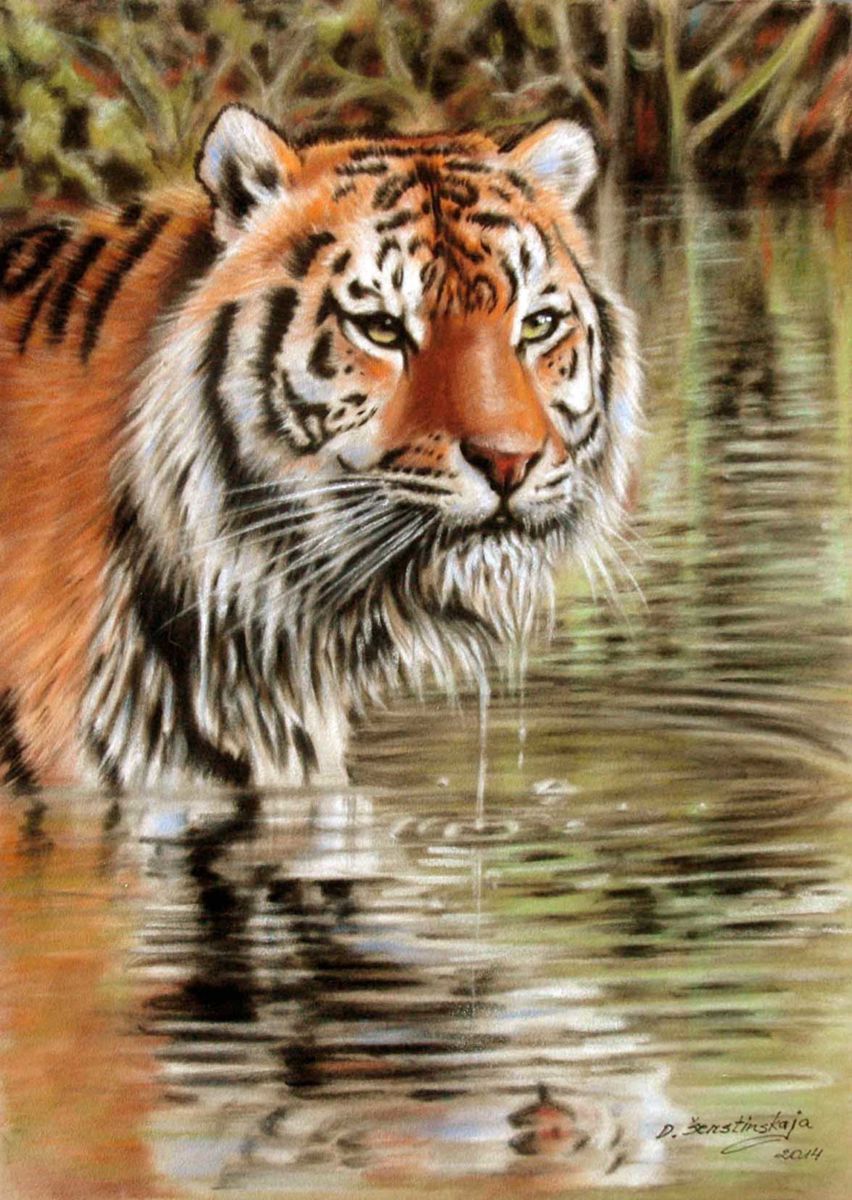 852x1200 Tiger In Water (Danguole Serstinskaja) - Realistic Tiger Painting