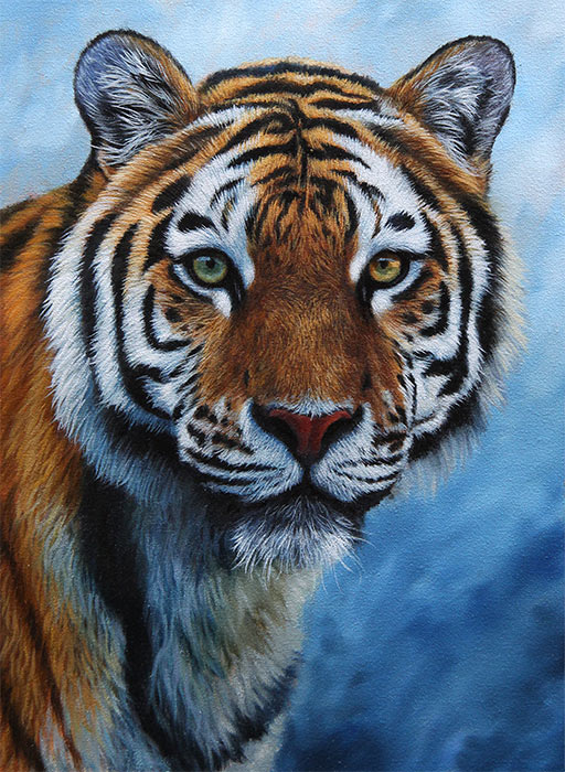 512x700 How To Paint A Tiger - Realistic Tiger Painting
