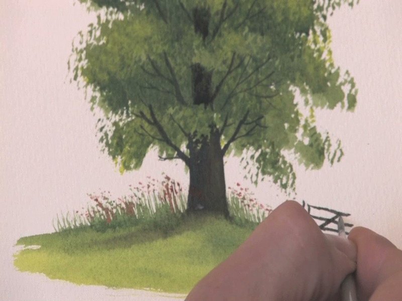 800x600 Watercolour Tutorial Paint Realistic Summer Tree With Tree Brushes - Realistic Tree Painting