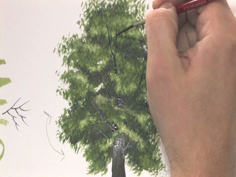 800x600 Watercolour Tutorial Painting A Realistic Tree - Realistic Tree Painting
