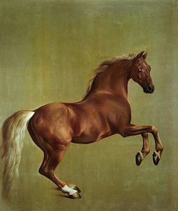 253x300 Rearing Horse Paintings Fine Art America - Rearing Horse Painting