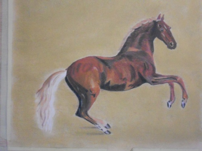 668x501 Pamela Hampson - Rearing Horse Painting