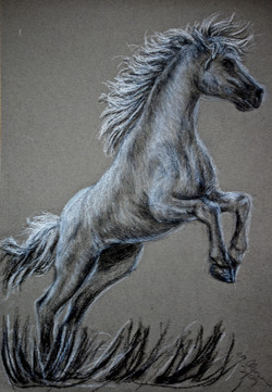 250x361 Rearing Horse Paintings - Rearing Horse Painting