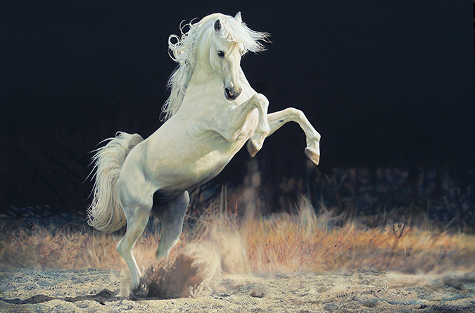 675x445 Rearing White Horse Anthea Polson Art - Rearing Horse Painting