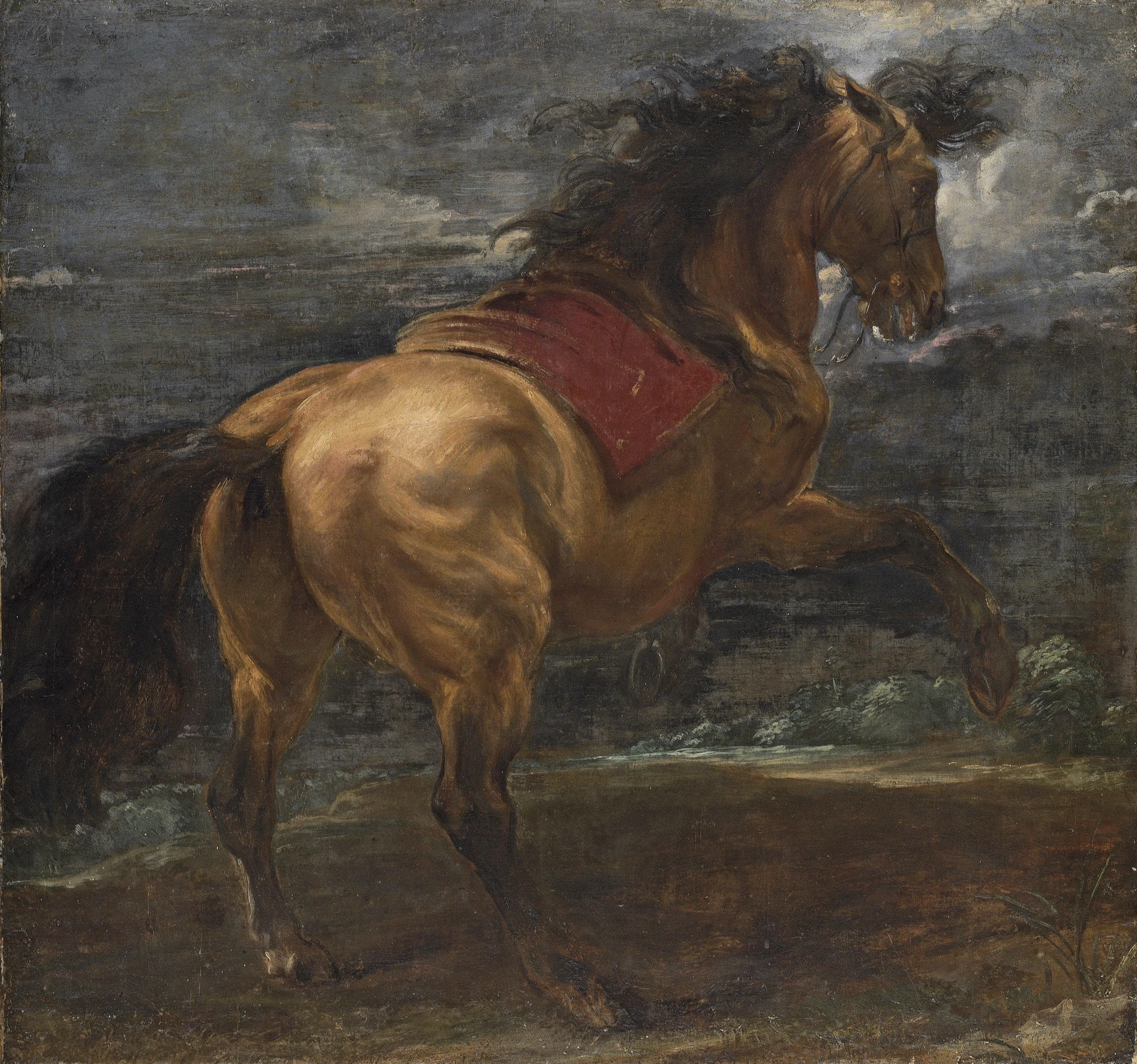 3795x3552 Sir Anthony Van Dyck (Antwerp 1599 1641 London) A Rearing - Rearing Horse Painting
