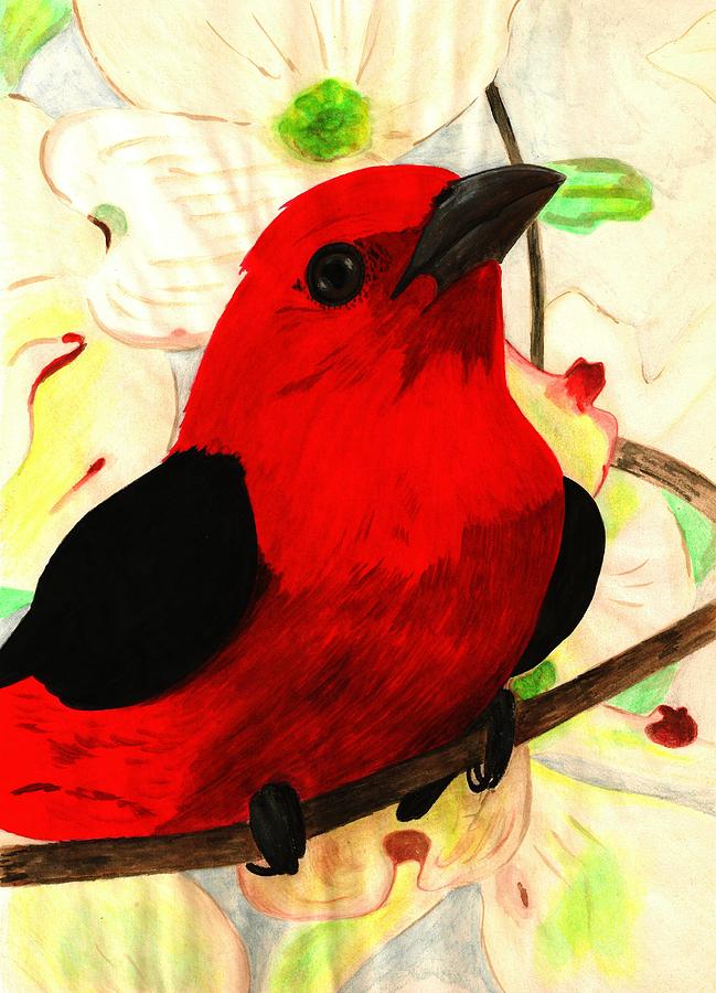 649x900 Red Bird In Dogwoods Painting By Becky Yates - Red Bird Painting
