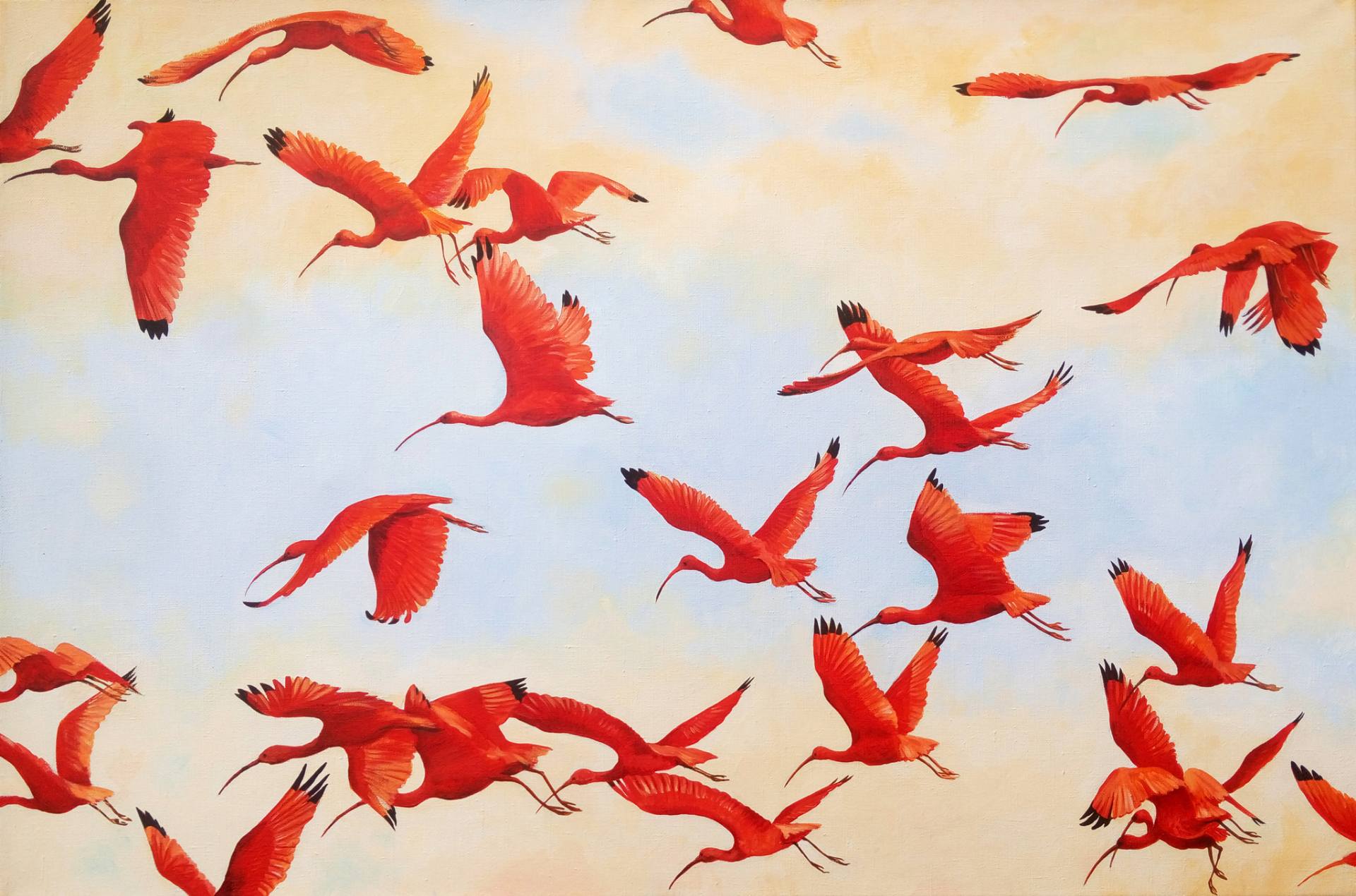 1920x1270 Saatchi Art Flying Scarlet Ibises Red Birds Tropical Birds - Red Bird Painting