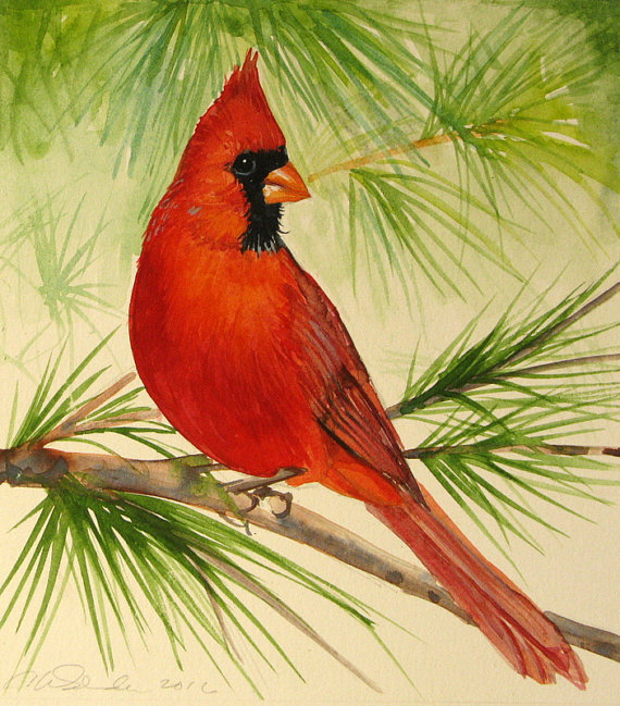 570x649 Cardinal Paintings Original Cardinal Painting Bird Watercolors - Red Bird Painting