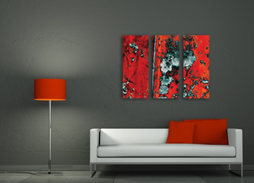 Red Canvas Painting at PaintingValley.com | Explore collection of Red ...