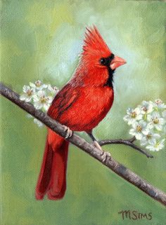 236x321 Finches, Bird Paintings And Birds - Red Cardinal Painting
