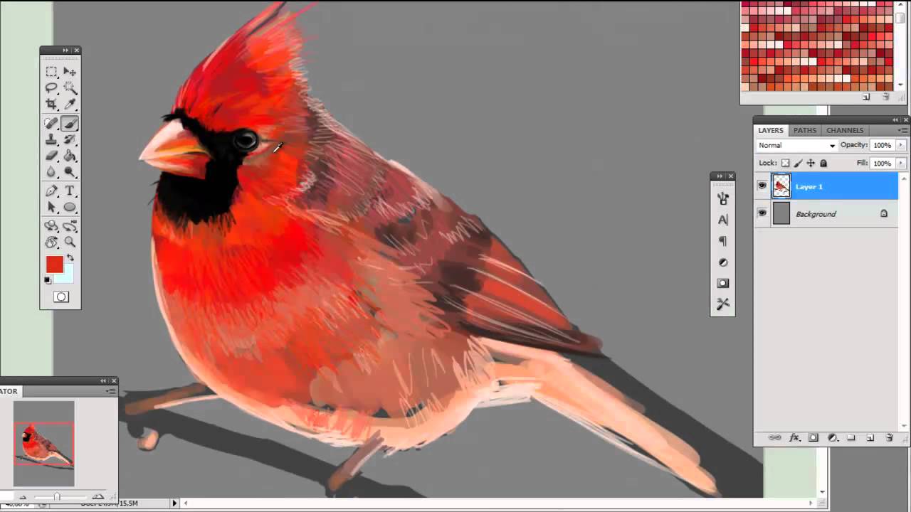 1280x720 Northern Cardinal - Red Cardinal Painting