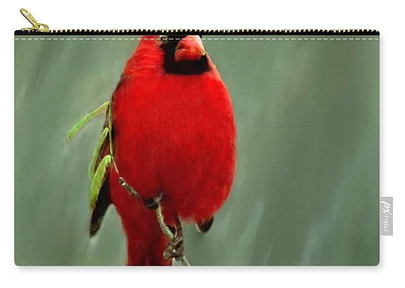 800x570 Red Cardinal Painting Carry All Pouch For Sale By Bob And Nadine - Red Cardinal Painting