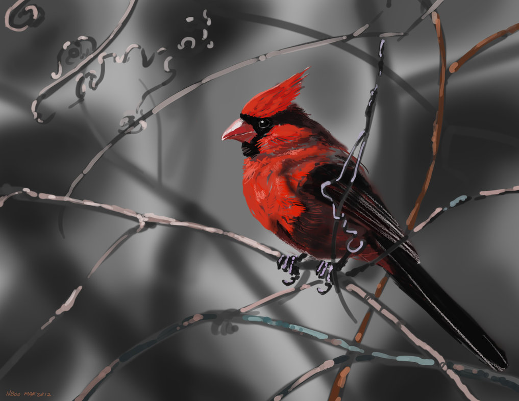 1017x786 Red Cardinal Painting By Nosoart - Red Cardinal Painting