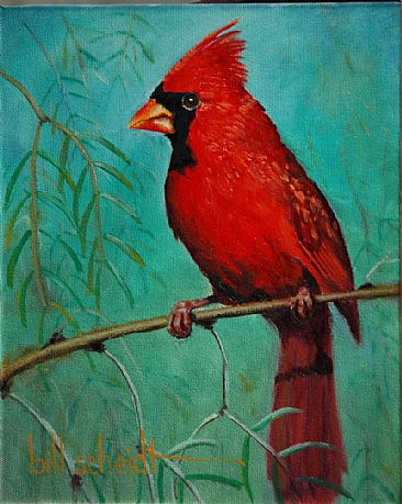 366x459 Cardinal - Red Cardinal Painting