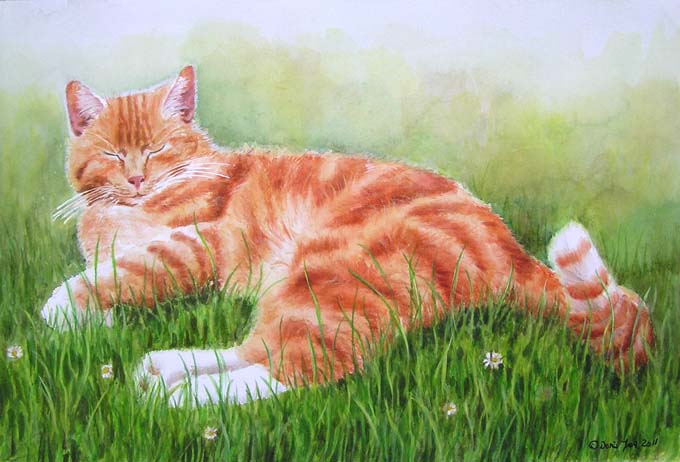 680x462 Red Cat Laying In Grass Watercolor Amp Oil Paintings Of Roses - Red Cat Painting