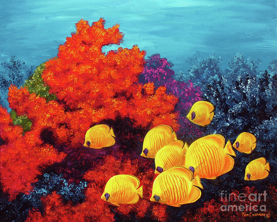 900x720 Red Coral And Butterfly Fish Painting By Tom Chapman - Red Coral Painting