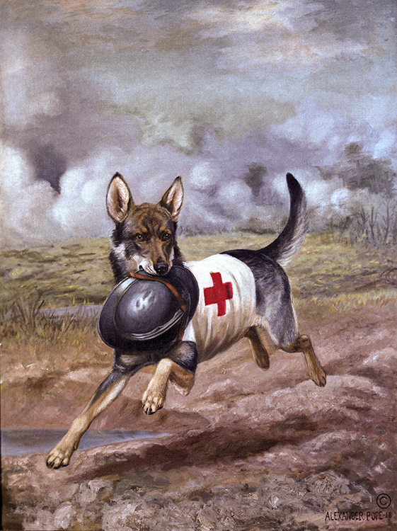 561x750 From The Archives Red Cross Dogs - Red Cross Painting