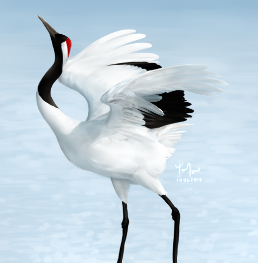 520x530 Red Crowned Crane By Sword Dance - Red Crowned Crane Painting