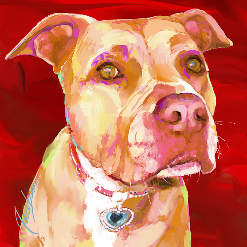 800x800 Dog Paintings By Artist Jackie Jacobson Paintings From Your Photos - Red Dog Painting
