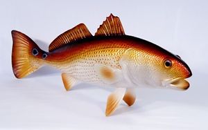 Red Drum Painting at PaintingValley.com | Explore collection of Red ...