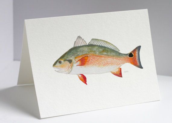 570x407 Coastal - Red Drum Painting